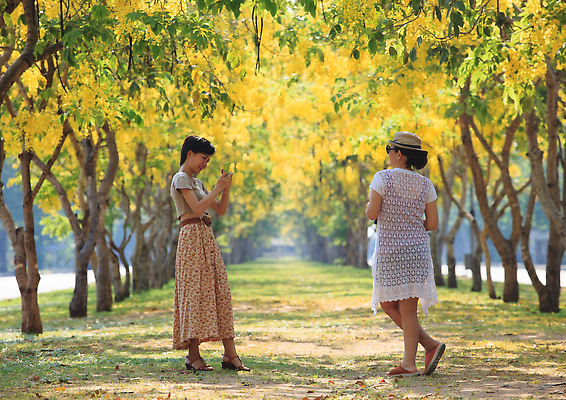 포토 JPG 해외이미지 식물 라이프스타일 커플 공원 여자 행복 2 신체 자연 휴가 휴식 사람 야외 두명 여름 스마트폰 핸드폰 디지털 정원 사진촬영 활발 기쁨 셀프카메라 공유 내추럴 해외202309 해외포토 계절 공공시설 감정 컨셉 관계 생활 전자제품 스마트기기 촬영 생태계 파일형식