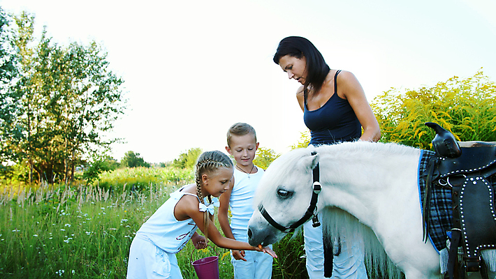 포토 JPG 해외이미지 동물 백인 전통 손 공원 여자 딸 행복 감정 야생동물 어린이 음식 백그라운드 밭 채소 포유류 자연 엄마 건강 파노라마 사랑 미소 사람 풍경 경사 소년 잔디 야외 세명 초록색 울타리 반려동물 뷰티 농장 갈색 노란색 머리 검은색 스트레칭 목장 우정 당근 견과류 흰색 시골 대접 입 승마 치아 사과 밤 먹이 방목 무서움 먹기 배고픔 주기 조랑말 멸종 다과 내추럴 망아지 나쁜 다트무어 돌봄 수유 옛날 전국 해외202309 해외포토 서양인 식물 공공시설 남자 새끼 스포츠 컬러 농업 과일 가족 모션 디저트 뿌리채소 촬영기법 표정 신체부위 친구 담장 운동 말 소화기관 축산업 생태계 파일형식