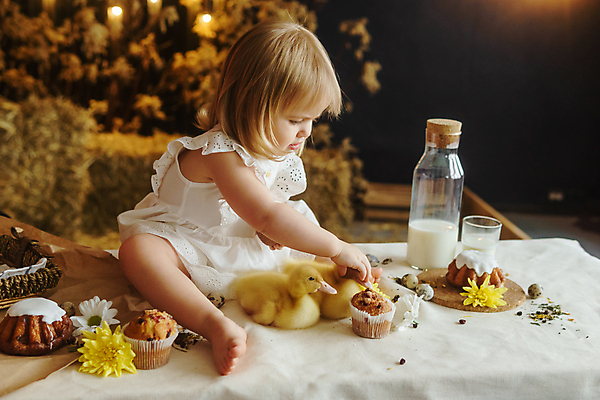 포토 JPG 해외이미지 전신 백인 여자 탁자 부활절 오리 한명 앉기 옆모습 만지기 아기 놀기 여자아기한명만 해외202309 해외포토 서양인 1 기념일 뷰포인트 가구 모션 조류 사람 여자한명만 여자아기만 파일형식