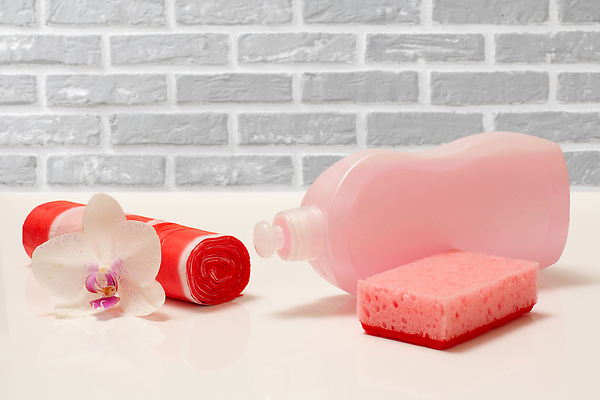 포토 JPG 해외이미지 꽃 비닐봉투 사람없음 깨끗함 청소도구 청소 세제 오브젝트 스펀지 해외202309 해외포토 식물 컨셉 봉투 도구 파일형식