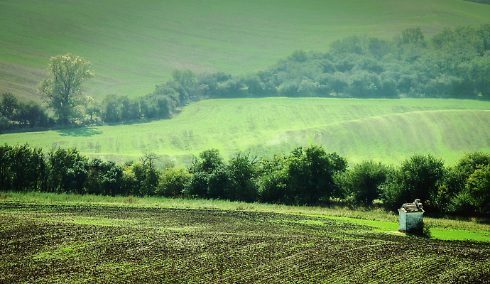 포토 JPG 해외이미지 나무 식물 유럽 선 파도 백그라운드 패턴 밭 농업 자연 사람없음 초록색 빛 컬러풀 뷰티 농장 농경지 갈색 평화 환경 놀람 봄 이탈리아 시골 신선 도시 숲 언덕 체코 남쪽 내추럴 공화국 밭일 보헤미아 모라비아 해외202309 해외포토 계절 감정 나라 산업 바다 컬러 컨셉 무늬 표정 방향 생태계 파일형식