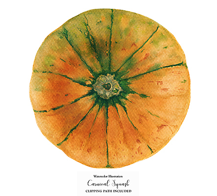 JPG 해외이미지 일러스트 호박 사람없음 초록색 주황색 해외202309 해외일러스트 컬러 채소 파일형식