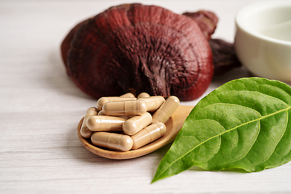 포토 JPG 해외이미지 건강 사람없음 알약 약 숟가락 허브 유기농 절구 영지버섯 해외202309 해외포토 식물 웰빙 의학 수저 버섯 도구 파일형식