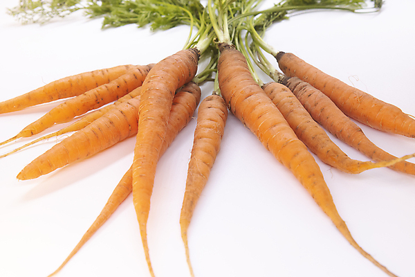 포토 JPG 해외이미지 식물 1 계절 음식 백그라운드 잎 농업 다이어트 채소 오렌지 재료 자연 실내 건강 사람없음 빨간색 초록색 농작물 농장 노란색 정원 활발 당근 수확 흰색 신선 그룹 다발 먹기 오브젝트 싱글 유기농 원예 날것 뿌리 먼지 흙더미 내추럴 고립 숙성 채식주의자 비건 맛있는 해외202309 해외포토 웰빙 산업 컬러 컨셉 과일 모션 뿌리채소 취미 내부 흙 생태계 채식 파일형식 더미