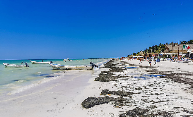 포토 JPG 해외이미지 모래 파도 바다 섬 여행 자연 하늘 휴가 휴식 멕시코 파노라마 손바닥 사람 해변 사람없음 물 파란색 야자수 뷰티 여행객 맑음 보트 오두막 모래언덕 유카탄 석호 카리브해 이국적 칸쿤 터키석 파라다이스 해외202309 해외포토 자연요소 나무 손 컬러 컨셉 북아메리카 배_교통 날씨 촬영기법 보석 언덕 생태계 파일형식