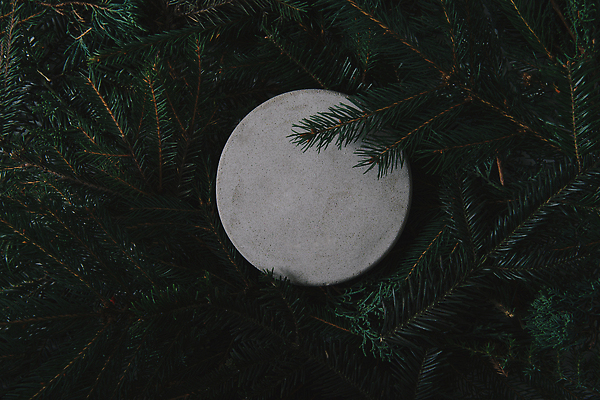 포토 JPG 해외이미지 모양 나무 식물 템플릿 디자인 계절 백그라운드 컨셉 잎 크리스마스 겨울 패턴 자연 벽지 휴가 새로움 프레임 사람없음 목재 장식 초록색 세트 파티 우주 환경 나뭇가지 신선 소나무 숲 12월 연도 심볼 질감 초대 전나무 엘리먼트 가문비나무 플랫레이 현실 비어있는 해외202309 해외포토 기념일 컬러 무늬 재료 이벤트 날짜 플랫 생태계 파일형식