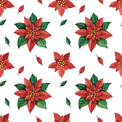 JPG 해외이미지 백그라운드 크리스마스 패턴 일러스트 사람없음 장식 빨간색 겨울꽃 포인세티아 해외202309 해외일러스트 기념일 꽃 컬러 겨울 무늬 파일형식