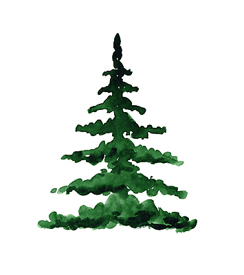 포토 JPG 해외이미지 모양 나무 식물 디자인 계절 실루엣 컬러 백그라운드 크리스마스 겨울 일러스트 자연 추상 휴가 새해 미술 사람없음 야외 목재 장식 초록색 환경 정원 페인트 흰색 나뭇가지 축하 소나무 신용카드 숲 12월 스케치 심볼 오브젝트 그림 에코 손그림 상록수 전나무 내추럴 고립 생태학 가문비나무 해외202309 해외일러스트 교육 기념일 컨셉 무늬 재료 문화예술 촬영기법 금융 날짜 생태계 파일형식