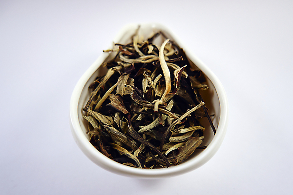 포토 JPG 해외이미지 식물 전통 라이프스타일 아시아 문화 음료 백그라운드 잎 다이어트 휴식 건조 건강 동양인 사람없음 컵 농작물 약 중국 사발 허브 유기농 향 내추럴 백자 이국적 해외202309 해외포토 식기 웰빙 나라 컨셉 농업 의학 인종 생활 도자기 사기그릇 파일형식