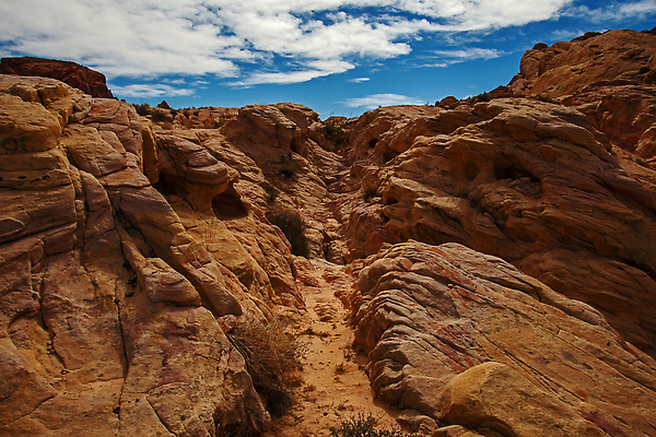 포토 JPG 해외이미지 공원 모래 여행 북아메리카 자연 하늘 산 건조 사람없음 야외 빨간색 여행객 골짜기 미국 하이킹 사막 암석 부식 사암 내추럴 랜드마크 지질학 해외202309 해외포토 공공시설 교육 컬러 레저 아메리카 사람 돌_바위 생태계 파일형식