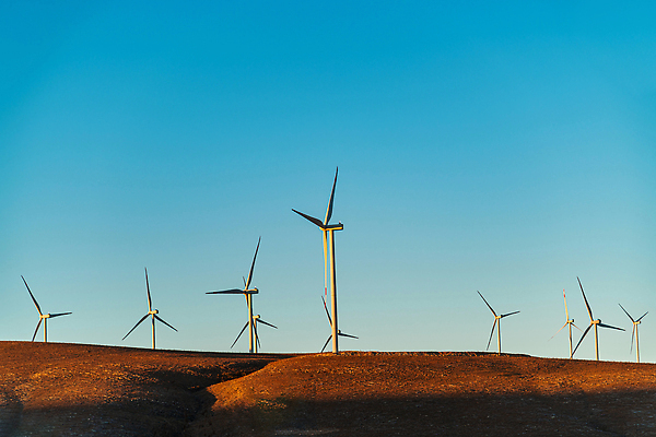 포토 JPG 해외이미지 식물 산업 밭 자연 하늘 바람 풍경 사람없음 초록색 파란색 하이앵글 뷰티 농장 일출 환경 힘 일몰 재활용 풍차 발전기 에너지 그린에너지 풍력에너지 에코 회전 세대 유지 내추럴 방앗간 생태학 조감도 해외202309 해외포토 자연요소 교육 뷰포인트 컬러 농업 날씨 노을 발전소 친환경 생태계 파일형식