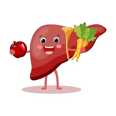 EPS 해외이미지 캐릭터 라이프스타일 디자인 행복 감정 어린이 음식 백그라운드 컨셉 채소 과일 일러스트 해부 건강 사람 약 아기 오르간 플랫 낙서 질병 인쇄 만화 심볼 그림 간 심플 손그림 시스템 고립 돌봄 마스코트 벡터 해외202309 해외일러스트 일러캐릭터 의학 모션 생활 장기_의학 건반악기 파일형식