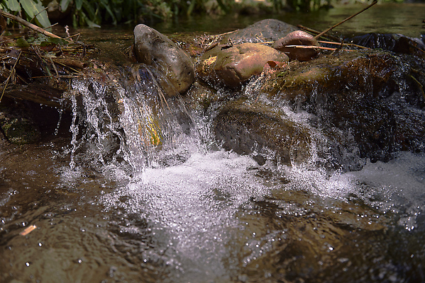 포토 JPG 해외이미지 나무 공원 여행 모션 자연 동화 산 요정 사람없음 야외 초록색 물 달리기 뷰티 평화 스파 고요 폭포 젖음 흐름 신선 개울 떨어짐 매끈함 소프트포커스 숲 작음 땅 순수 속도 상쾌 공평 블러 이국적 파라다이스 현재 스플래쉬 해외202309 해외포토 자연요소 식물 공공시설 감정 컬러 컨셉 촬영기법 강 감각 크기 생태계 파일형식
