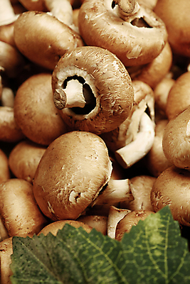 포토 JPG 해외이미지 음식 컬러 채소 재료 탁자 사람없음 갈색 어둠 버섯 신선 유기농 날것 곰팡이 생식 숙성 식용 많음 비건 해외202309 해외포토 웰빙 가구 컨셉 채식주의자 파일형식