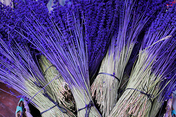 포토 JPG 해외이미지 식물 꽃잎 꽃 리본 줄기 꽃다발 자연 휴식 건조 사람없음 장식 파란색 농작물 컬러풀 뷰티 세일 바구니 보라색 수확 시장 다발 수집 배열 허브 양동이 향기 아로마테라피 라벤더 해외202309 해외포토 컬러 컨셉 농업 생태계 냄새 테라피 파일형식