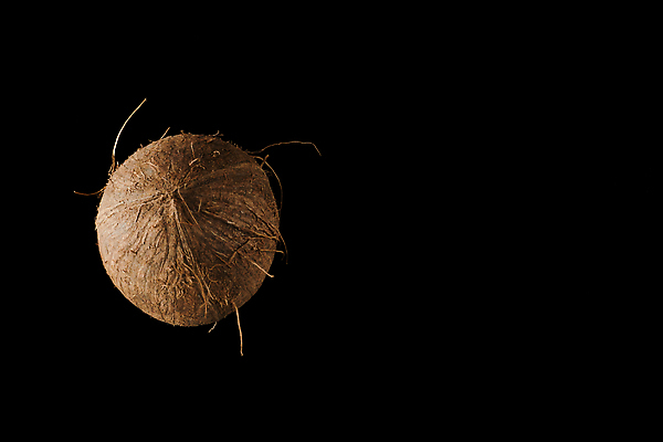 포토 JPG 해외이미지 나무 음료 음식 조각 백그라운드 다이어트 과일 재료 부분 자연 건강 손바닥 사람없음 여름 갈색 주스 우유 견과류 껍질 흰색 신선 오픈 원형 닫기 달콤 맛 기름 자르기 먹기 오브젝트 유기농 질감 코코넛 내추럴 고립 단절 이국적 채식주의자 비건 해외202309 해외포토 도형 식물 손 웰빙 계절 컬러 컨셉 모션 유제품 생태계 채식 파일형식