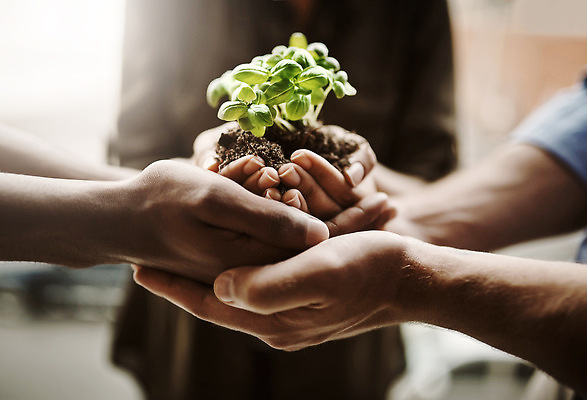 포토 JPG 해외이미지 손 들기 근접촬영 신체부위 새싹 자연보호 희망 흙 성장 손모으기 해외202309 해외포토 식물 감정 뷰포인트 모션 자연 사람 손짓 보호 파일형식