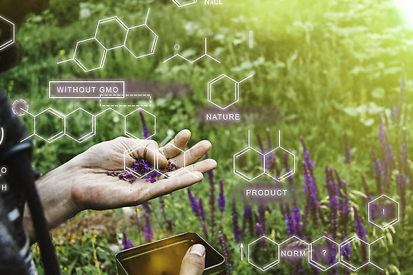 포토 JPG 해외이미지 손 컨셉 농업 자연 건강 관리 씨앗 사람없음 농작물 농장 노란색 환경 정원 수확 성장 황금 낟알 시리얼 밀 귀 팔 탐색 경영 밭일 숙성 심기 제어 세련 해외202309 해외포토 식물 산업 음식 컬러 비즈니스 모션 곡류 신체부위 생태계 파일형식