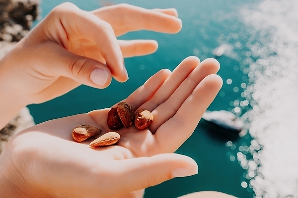 포토 JPG 해외이미지 백인 손 여자 음식 신체 다이어트 과일 재료 자연 건강 관리 씨앗 한명 사람 초록색 뷰티 견과류 수확 흰색 신선 잡기 오픈 사발 먹기 에코 유기농 날것 아몬드 내추럴 단백질 섞기 채식주의자 칼슘 비건 해외202309 해외포토 서양인 식물 1 웰빙 컬러 농업 모션 신체부위 환경 사기그릇 생태계 채식 영양소 파일형식