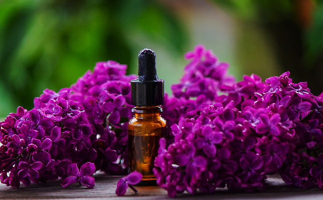 포토 JPG 해외이미지 식물 라이프스타일 웰빙 배너 꽃 분홍색 꽃다발 백그라운드 꽃무늬 신체 자연 유리 휴식 건강 사람없음 목재 치료 뷰티 약 보라색 스파 봄 벚꽃 흰색 신선 마사지 약국 소중 허브 향수 준비 향기 아로마 아로마테라피 테라피 라일락 내추럴 돌봄 에센스 추출 카피스페이스 해외202309 해외포토 나무 계절 컬러 컨셉 무늬 재료 의학 모션 재질 생활 화장품 공백 생태계 냄새 파일형식