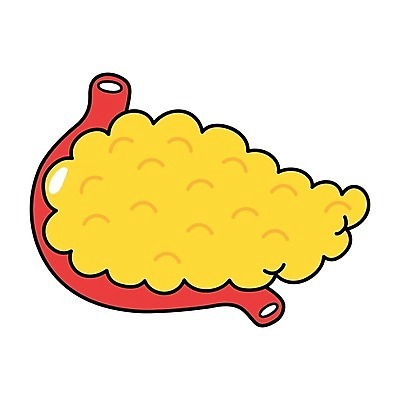 EPS 해외이미지 모양 캐릭터 디자인 행복 얼굴 어린이 백그라운드 일러스트 해부 건강 사람 내부 신체부위 약 수확 표현 오르간 플랫 인쇄 만화 심볼 오브젝트 그림 복고 생물학 심플 손그림 시스템 췌장 고립 당뇨병 돌봄 마스코트 엘리먼트 벡터 해외202309 해외일러스트 일러캐릭터 교육 감정 농업 의학 모션 장기_의학 건반악기 질병 파일형식