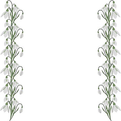 EPS 해외이미지 식물 꽃잎 꽃 꽃다발 백그라운드 잎 꽃무늬 일러스트 자연 프레임 야외 초록색 정원 봄 낭만 흰색 축하 신용카드 숲 4월 유기농 고립 헌병 해외202309 해외일러스트 웰빙 계절 컬러 컨셉 무늬 금융 군인 날짜 생태계 파일형식 벡터