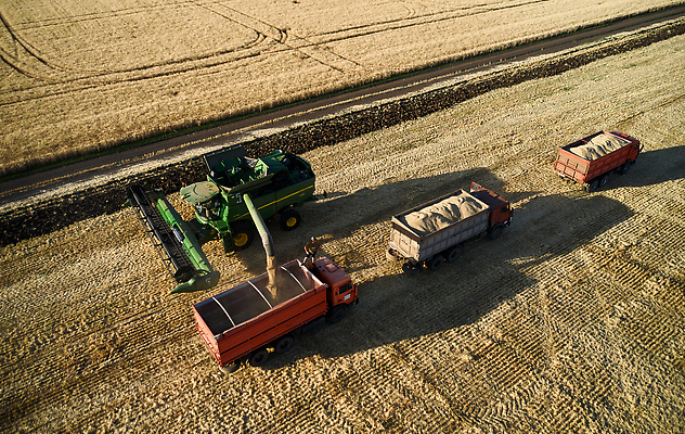 포토 JPG 해외이미지 식물 계절 음식 백그라운드 밭 농업 자연 안테나 옥수수 씨앗 사람없음 야외 농작물 농장 농경지 농사 기계 장비 수확 성장 시골 업무 작업 황금 농부 결합 낟알 시리얼 밀 먼지 트랙터 밀짚 드론 밭일 숙성 조감도 해외202309 해외포토 직업 산업 통신 곡류 짚 농기계 생태계 특수차량 파일형식