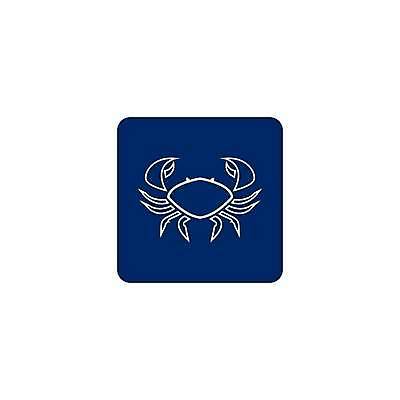 EPS 해외이미지 동물 디자인 실루엣 야생동물 음식 바다 백그라운드 일러스트 자연 낚시 조개 생물 어류 요리 그래픽 물 라벨 식당 검은색 저녁식사 게 껍질 흰색 신선 플랫 고급 바닷가재 먹기 심볼 해산물 사인 메뉴 심플 암 대서양 고립 발톱 엘리먼트 인기 집게발 벡터 맛있는 해외202309 해외일러스트 자연요소 컬러 컨셉 모션 발 레저 어패류 프레임 촬영기법 갑각류 상점 식사 수중동물 질병 가재 생태계 파일형식