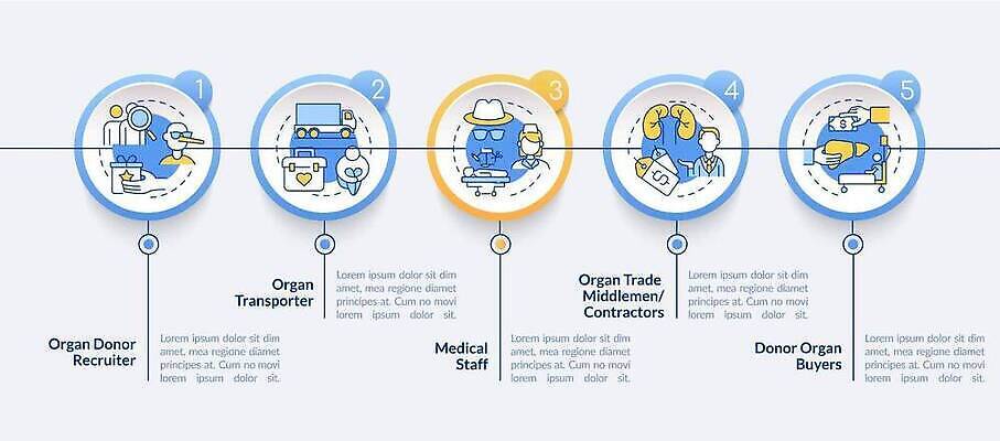 EPS 해외이미지 템플릿 디자인 배너 컨셉 일러스트 비즈니스 그래프 아이디어 사람 그래픽 웹 인포그래픽 흐름 트럭 수확 원형 발표 오르간 플랫 계획 무역 보고서 5 외과 단계 명령 삭제 노예 방법 타임라인 벡터 해외202309 해외일러스트 도형 산업 농업 인터넷 의학 자동차 병원 숫자 건반악기 파일형식