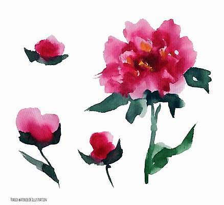 EPS 해외이미지 식물 꽃 분홍색 꽃다발 일러스트 자연 추상 수채화 미술 빨간색 여름 보라색 중국 벚꽃 직물 개화 제비꽃 오브젝트 아로마 고립 작약 해외202309 해외일러스트 계절 아시아 컬러 무늬 문화예술 생태계 파일형식 벡터