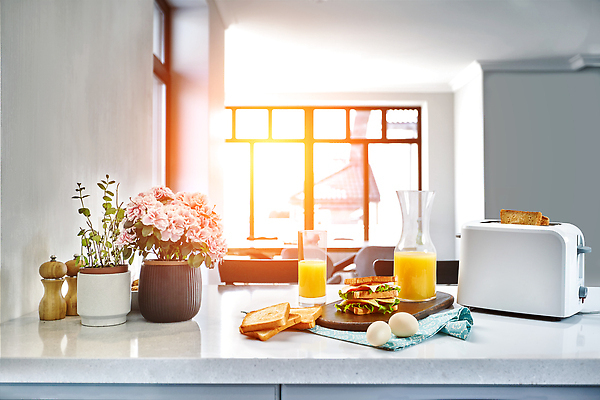 포토 JPG 해외이미지 식재료 창문 샌드위치 사람없음 햇빛 계란 꽃병 아침식사 오렌지주스 식빵 토스트 토스트기 해외202309 해외포토 꽃 음식 빵 태양 알 식사 가전제품 과일주스 파일형식