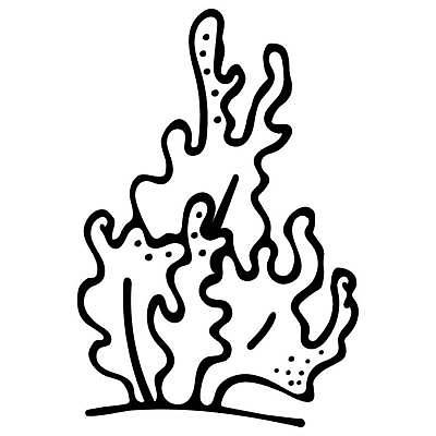 EPS 해외이미지 클립아트 식물 동물 손 디자인 야생동물 바다 일러스트 낚시 흑백 어류 성인 그래픽 책 물 강 검은색 수중 흰색 산호 낙서 스케치 자르기 심볼 오브젝트 싱글 그림 심플 윤곽 손그림 페이지 수족관 고립 엘리먼트 해외202309 해외일러스트 자연요소 컬러 모션 레저 촬영기법 미술 사람 신체부위 수중동물 자포동물 파일형식 벡터