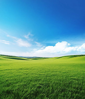 JPG 구름 편집이미지 하늘 풍경 잔디 초원 사람없음 초록색 파란색 맑음 언덕 편집실사 AI포토 AI콘텐츠 자연요소 식물 컬러 날씨 CG 파일형식