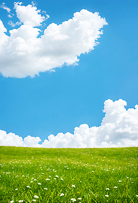 JPG 구름 편집이미지 꽃밭 하늘 풍경 잔디 초원 사람없음 초록색 파란색 맑음 언덕 편집실사 AI포토 AI콘텐츠 자연요소 식물 꽃 컬러 날씨 CG 파일형식