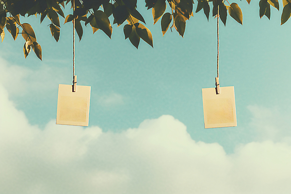 JPG 구름 편집이미지 자연 나뭇잎 매달리기 집게 사람없음 디지털합성 폴라로이드사진 감성 편집실사 AI포토 AI콘텐츠 자연요소 컨셉 잎 모션 CG 생태계 폴라로이드 파일형식