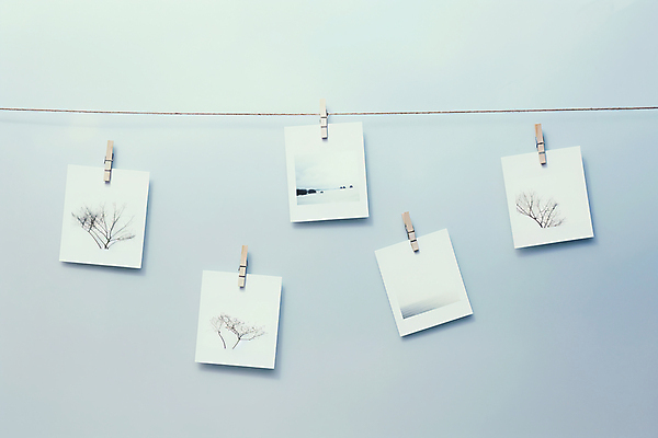 JPG 나무 편집이미지 계절 자연 집게 사람없음 디지털합성 폴라로이드사진 감성 붙이기 편집실사 AI포토 AI콘텐츠 식물 컨셉 모션 CG 생태계 폴라로이드 파일형식