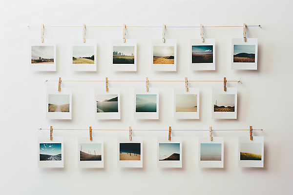 JPG 편집이미지 계절 자연 집게 사람없음 다양 디지털합성 폴라로이드사진 감성 편집실사 AI포토 AI콘텐츠 다수 컨셉 CG 생태계 폴라로이드 파일형식