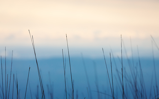 포토 JPG 해외이미지 나무 백그라운드 오렌지 자연 하늘 휴식 산 사람없음 야외 여름 파란색 햇빛 뷰티 일출 침묵 일몰 전원 매끈함 부드러움 내추럴 블러 해외202309 해외포토 식물 계절 컬러 컨셉 과일 태양 노을 소리 감각 전기에너지 생태계 파일형식