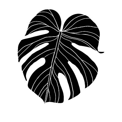 EPS 해외이미지 식물 실루엣 선 잎 꽃무늬 일러스트 자연 열대 흑백 그래픽 장식 초록색 여름 세트 검은색 나뭇가지 우아함 숲 열대우림 스케치 심볼 그림 윤곽 내추럴 고립 엘리먼트 열대기후 이국적 파라다이스 하와이인 활자 벡터 그리너리 해외202309 해외일러스트 외국인 나무 계절 꽃 컬러 컨셉 무늬 촬영기법 미술 생태계 활자판 파일형식 트랜드컬러