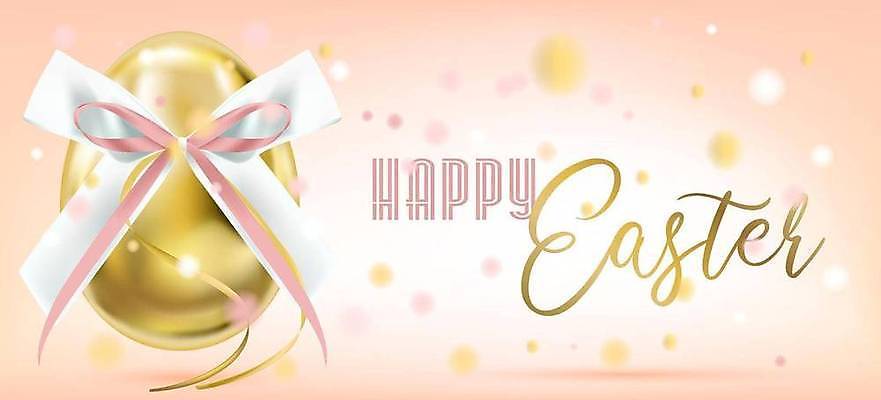 EPS 해외이미지 템플릿 배너 행복 리본 종교 어린이 분홍색 일러스트 휴가 부활절 선물 장식 빛 유행 세일 계란 축제 웹 봄 흰색 축하 토끼 인사 신용카드 황금 우아함 달콤 실크 은박지 활 초대 꽃가루 신성 고립 섬광 현실 해외202309 해외일러스트 계절 기념일 감정 컬러 컨셉 인터넷 포유류 사람 금융 반려동물 알 직물 예절 맛 가루 파일형식 벡터