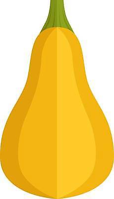 EPS 해외이미지 식물 계절 음식 농업 다이어트 채소 일러스트 자연 호박 요리 농장 식사 할로윈 수확 신선 플랫 상품 심볼 사인 그림 채식 날것 스쿼시 슈퍼마켓 10월 내추럴 고립 숙성 채식주의자 벡터 비건 맛있는 해외202309 해외일러스트 산업 스포츠 건강 구기 상점 날짜 생태계 파일형식