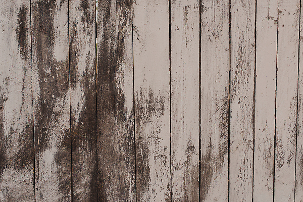 포토 JPG 해외이미지 디자인 벽 컬러 백그라운드 패턴 자연 벽지 표면 추상 바닥 프레임 흑백 사람없음 목재 장식 빛 갈색 우주 검은색 어둠 페인트 줄무늬 회색 수확 흰색 판넬 거친 널 질감 복고 내추럴 그런지 수목 엘리먼트 옛날 스타일 해외202309 해외포토 나무 무늬 농업 재료 촬영기법 생태계 파일형식