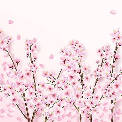 EPS 해외이미지 나무 식물 템플릿 디자인 배너 계절 꽃 포스터 문화 분홍색 컬러 백그라운드 잎 꽃무늬 일러스트 벽지 친절 발렌타인데이 그림자 사랑 미술 동양인 장식 뷰티 정원 일본 보라색 봄 낭만 덮개 나뭇가지 투명 개화 체리 인쇄 4월 앨범 질감 레이아웃 동쪽 거짓말 벡터 해외202309 해외일러스트 감정 아시아 컨셉 무늬 과일 데이이벤트 문화예술 인종 뚜껑 날짜 방향 파일형식