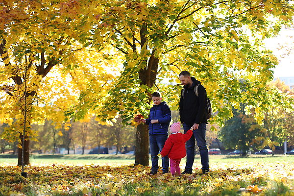 포토 JPG 해외이미지 라이프스타일 공원 딸 행복 아들 어린이 장난 가족 관계 포옹 자연 놀이 휴가 함께함 사랑 미소 사람 소년 야외 두명 부모 걷기 산책 기쁨 육아 시골 아기 아빠 돌봄 해외202309 해외포토 공공시설 남자 감정 컨셉 안기 모션 휴식 표정 생활 생태계 파일형식