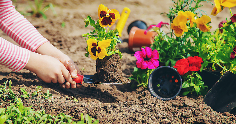 포토 JPG 해외이미지 손 꽃 화분 들기 신체부위 정원 흙 성장 모종삽 원예 심기 해외202309 해외포토 식물 모션 사람 취미 삽 파일형식
