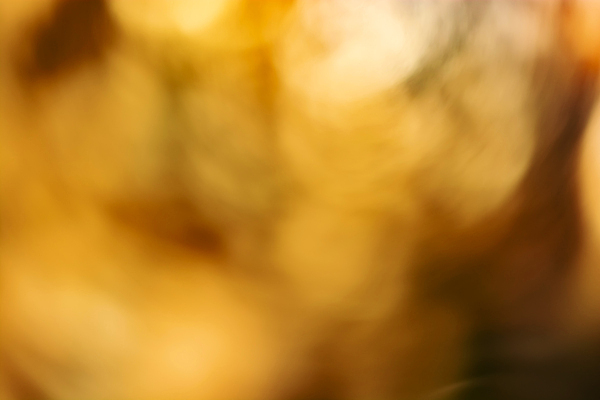 포토 JPG 해외이미지 템플릿 디자인 종이 컬러 백그라운드 패턴 오렌지 일러스트 벽지 추상 창조 미술 경사 사람없음 그래픽 장식 가로 빛 컬러풀 갈색 노란색 우주 웹 어둠 희망 공백 화려 황금 매끈함 소프트포커스 보케 심플 부드러움 블러 블러효과 옛날 카피스페이스 효과 비어있는 해외202309 해외일러스트 감정 컨셉 무늬 인터넷 과일 문화예술 촬영기법 감각 파일형식