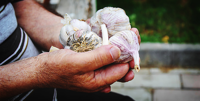 포토 JPG 해외이미지 식물 손 계절 음식 백그라운드 농업 채소 과일 재료 전구 자연 노동자 건강 마늘 관리 사람 사람없음 초록색 여름 농작물 농장 정원 수확 성장 신선 잡기 주름 맛 농부 다발 향신료 유기농 원예 날것 뿌리 흙더미 내추럴 바이오 밭일 숙성 채식주의자 해외202309 해외포토 직업 웰빙 산업 컬러 컨셉 모션 취미 신체부위 흙 생태계 채식 향미료 파일형식 더미