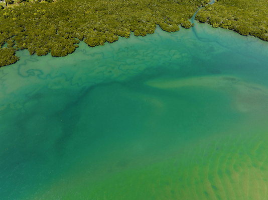 포토 JPG 해외이미지 선 모래 바다 컬러 패턴 곡선 자연 조류 추상 안테나 사람없음 야외 초록색 물 컬러풀 환경 시골 호주 땅 고도 질감 내추럴 항공촬영 드론 해일 내려보기 해외202309 해외포토 자연요소 동물 뷰포인트 무늬 통신 모션 오세아니아 자연재해 생태계 파일형식
