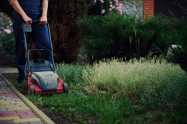 포토 JPG 해외이미지 직업 라이프스타일 남자 유니폼 청소년 자연 노동자 한명 사람 잔디 야외 정원 기계 봄 장비 작업 청소 허브 무선 서비스 원예 조경 손질 엔진 유지 다듬기 뒤뜰 목록 밭일 업그레이드 원예사 커터 해외202309 해외포토 식물 1 옷 계절 모션 취미 생활 생태계 파일형식