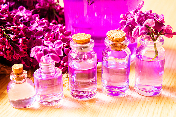 포토 JPG 해외이미지 분홍색 근접촬영 사람없음 보라색 오일 아로마테라피 라일락 내추럴 에센스 해외202309 해외포토 꽃 음식 뷰포인트 컬러 화장품 테라피 파일형식